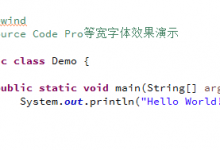 Source Code Pro-子非愚,焉知愚之乐?